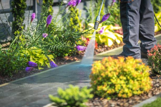 Best Winterizing Services  in North Vernon, IN
