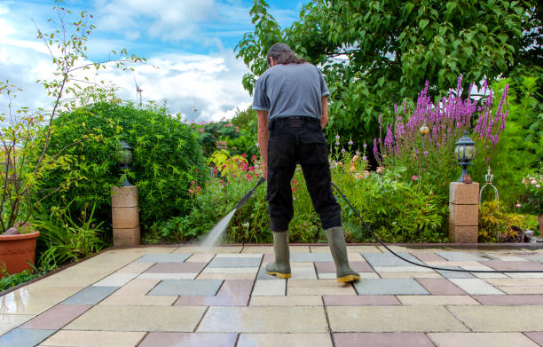 Best Spring Cleaning  in North Vernon, IN